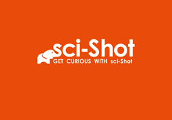 Stay Safe, Get Curious, Get Paid