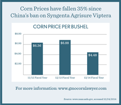 Syngenta Viptera Agrisure GMO Corn China Lawyers Infographic