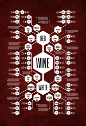 Wine Diagram Print