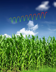 The trend line of atmospheric carbon dioxide readings in Barrow, Alaska from 2003 to 2012 is superimposed on an artist’s rendering of intensive farming in the Corn Belt of the Midwestern United States.