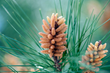 The Climate Trust releases milepost performance report celebrating...
