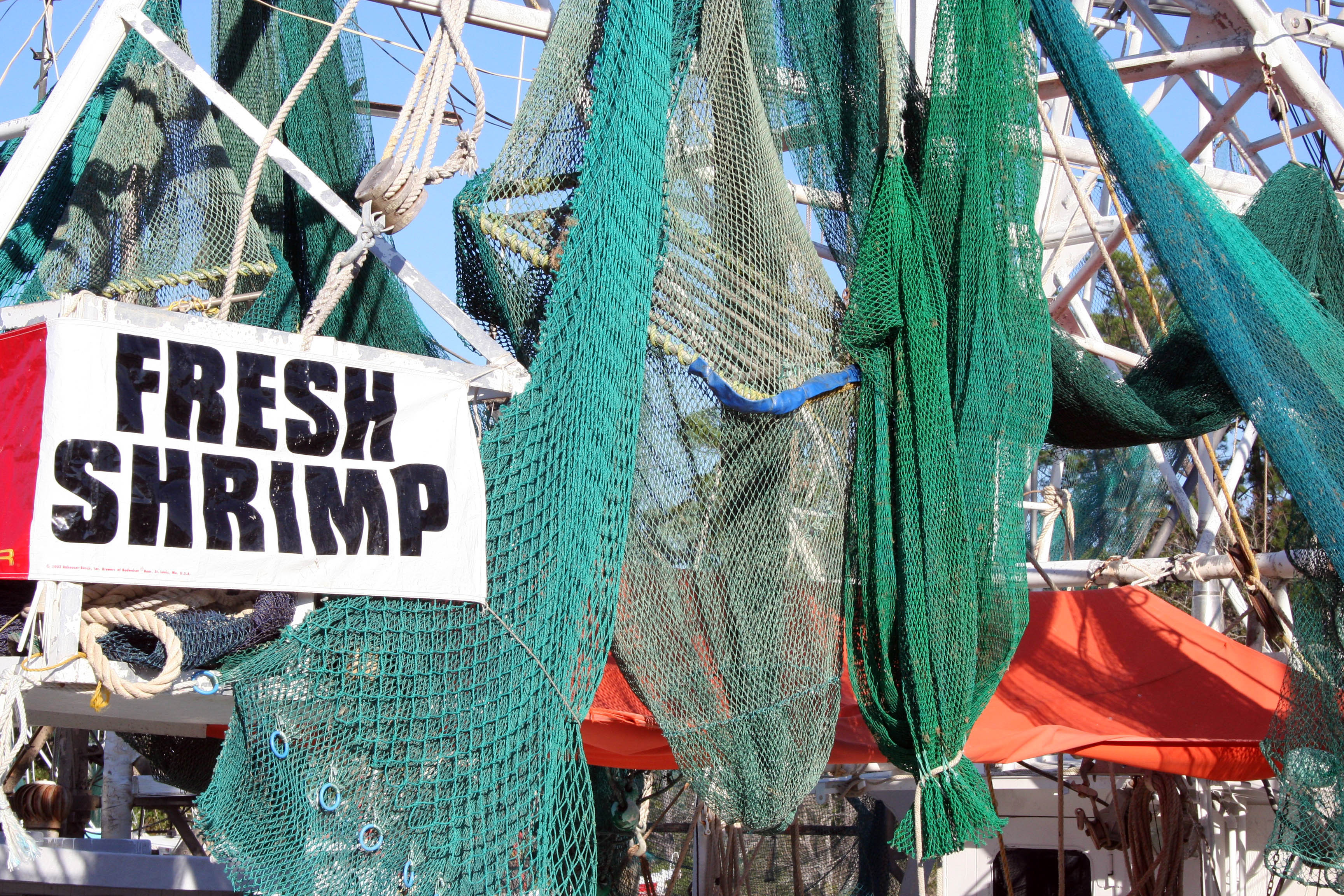 Crowd Pleasing 21st Annual Beaufort Shrimp Festival Set for October 23