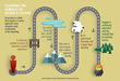 Occupational Licensing Can Crimp Entrepreneurship, According to Latest...