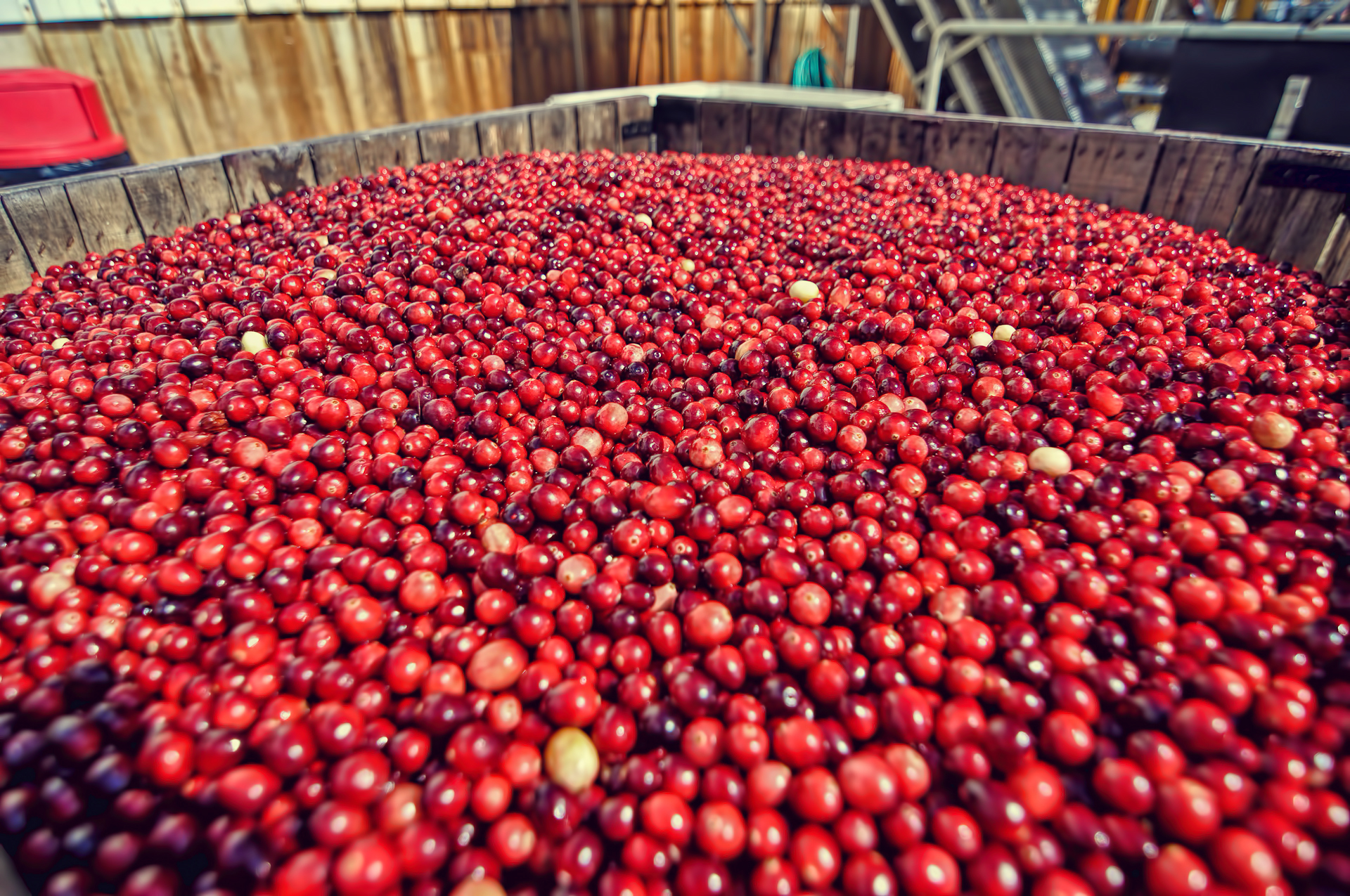 The Cranberry Marketing Committee USA Says Good News for The Cranberry Marketing Committee USA Says Good News for