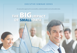 Small Data Executive Series