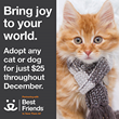 Best Friends Animal Society Urges Saving the Life of a Shelter Pet this Holiday Season with Annual Holiday Promotion
