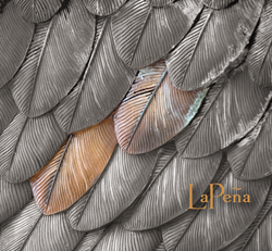 The Cover of the LaPeña CD of Mike Meier and Rosalinda Bird