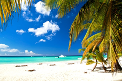 6000 Discounted Yachts Available