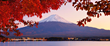 Immunomic Therapeutics, Inc. Makes Significant Headway in Regulatory...
