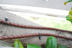 Tree-Shock™ installed on a branch