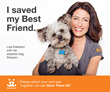 Lisa Edelstein, Star of New Bravo Series, ‘The Girlfriends’ Guide to...