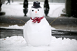 Hotel Viking Prepares for Newport’s Winter Festival - Great Room Rates...