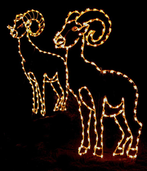 The 19th Annual Wild Lights Event scheduled through New Year’s Eve at the Living Zoo in Palm Desert