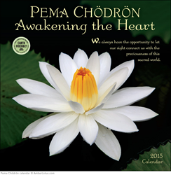 Pema Chödrön 2015 wall calendar from Amber Lotus Publishing