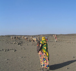 PCI's innovative SAPARM program in Ethiopia