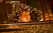 Callaway Gardens' Fantasy In Lights Selected as a USA Today's...