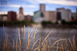 Top 10 Carbon Market Predictions for 2015 from The Climate Trust
