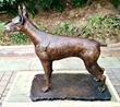 Happiness is a Loving Dog - Caitlyn the Doberman