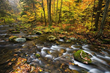 Surf & Stream Campground, Toms River, New Jersey