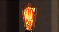 LED Edison Bulbs