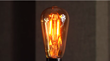 LED Edison Bulbs Now Available at 1000Bulbs.com