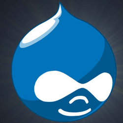 drupal hosting providers