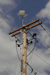 National Grid’s Smart Energy Solutions Program Launches with New...