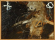 Primal Poetry | James Havard & Michel Meyer