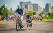 DoggerJogger, the New 'Hardware-less' Bicycle Dog Leash,...