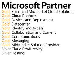 Agile ITs Microsoft Partner Competencies