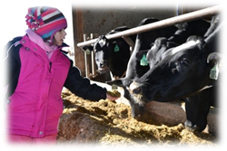 dairy farm tour