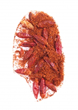World's Hottest Hot Sauces List Compiled at New Pepper Heads for...