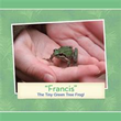 Patricia Tiegs releases “Francis”