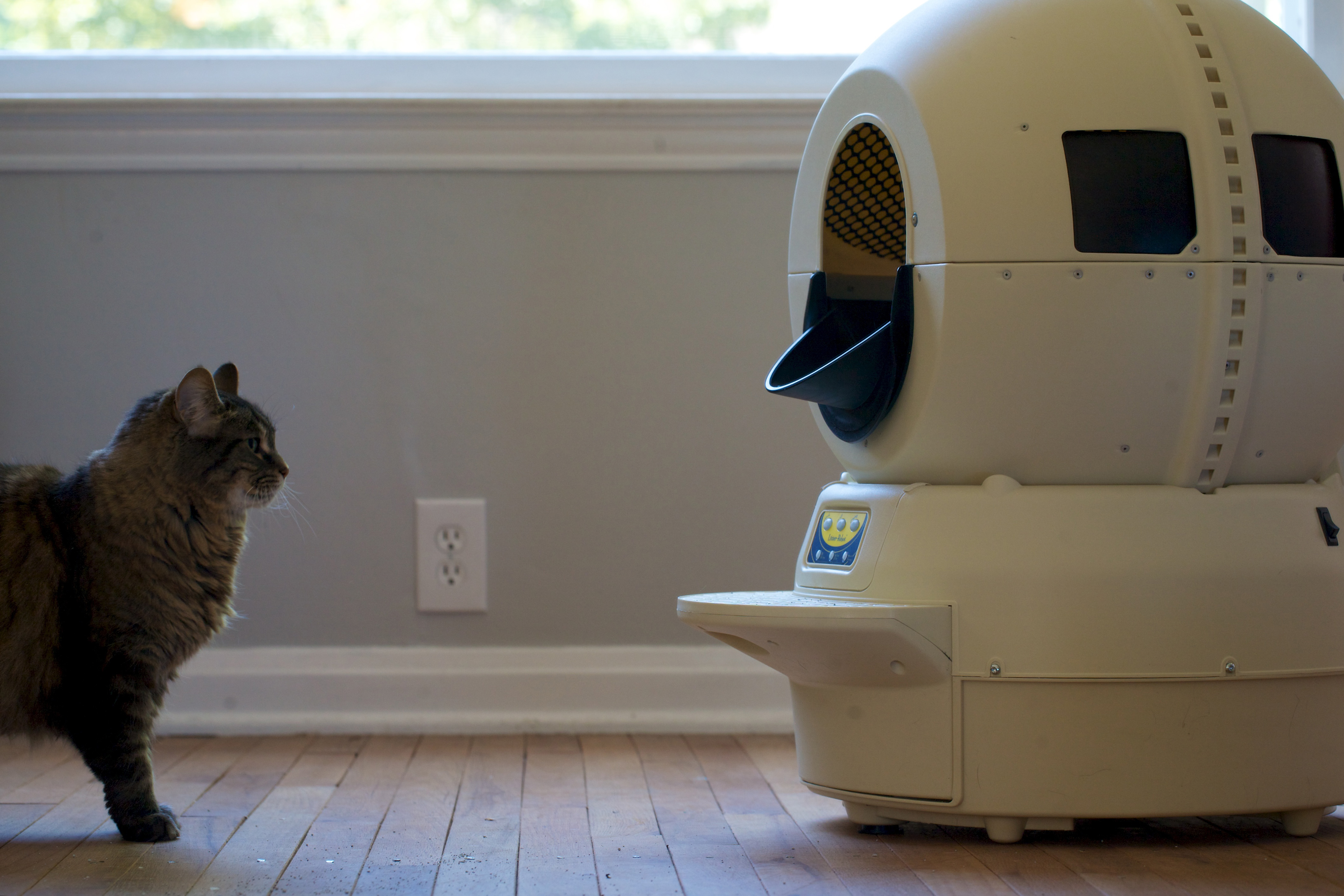 litter robot keeps getting stuck