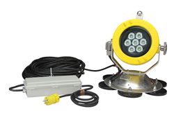Class 1 Division 1 70 Watt LED Light with 150' Cord