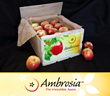 For your chance to win an Oscar gift pack of Ambrosia make sure to visit us on Facebook!