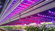 Thousand-plus Illumitex Lights Installed at Innovative Chicagoland...