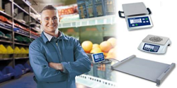 METTLER TOLEDO's Industrial Basic Scales provide accurate and reliable weighing with industrial scales for a wide range of applications.