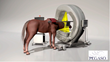 Epica Medical Innovations Launches Pegaso™ -The Worlds First Equine Specific CT Scanner