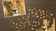 An Application to Solve Over 400 Virtual Puzzles was Featured on...