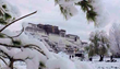Tibet travel: When in 2015 is the best time to visit?