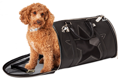 Dog Carrying Bag