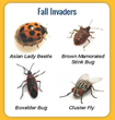 Brush Up on Pest Management Activities this Winter