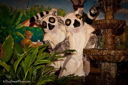 Alice Farley Dance Theater's 'enchanted lemur performers' image by Kim Longstreet at Dogstreet Photography