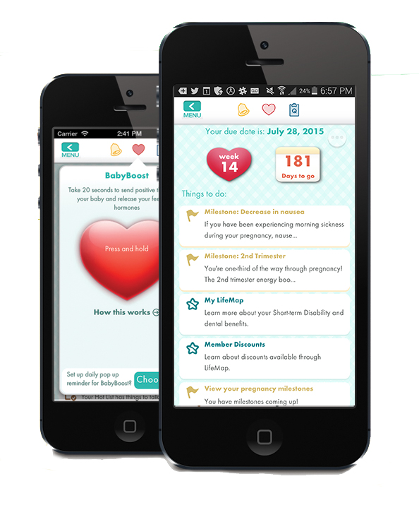 LifeMap and Wildflower Health Team Up to Offer Financial LifeMap and Wildflower Health Team Up to Offer Financial