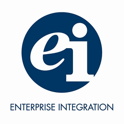 Enterprise Integration Logo