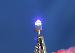 Marktech LED from Cree Die