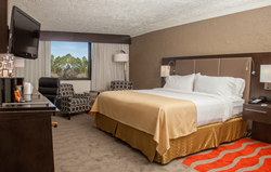 Model Room at the Holiday Inn Panama City