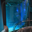 China’s Record Breaking Cube Oceanarium Now Open – Features...