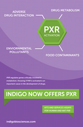 INDIGO Biosciences Now Offers PXR